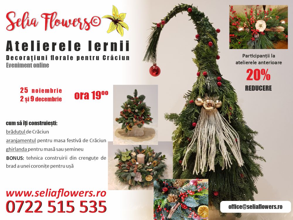 atelierele iernii 2021