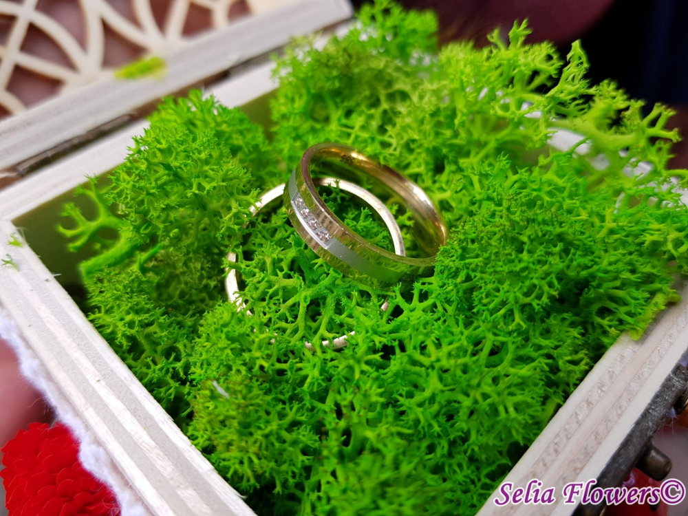 Gânduri de februarie pentru draga mea mireasă