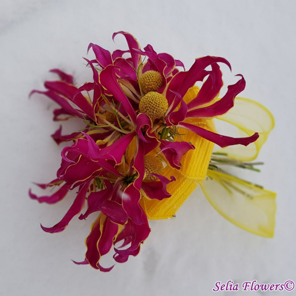 Spectaculoasa craspedia