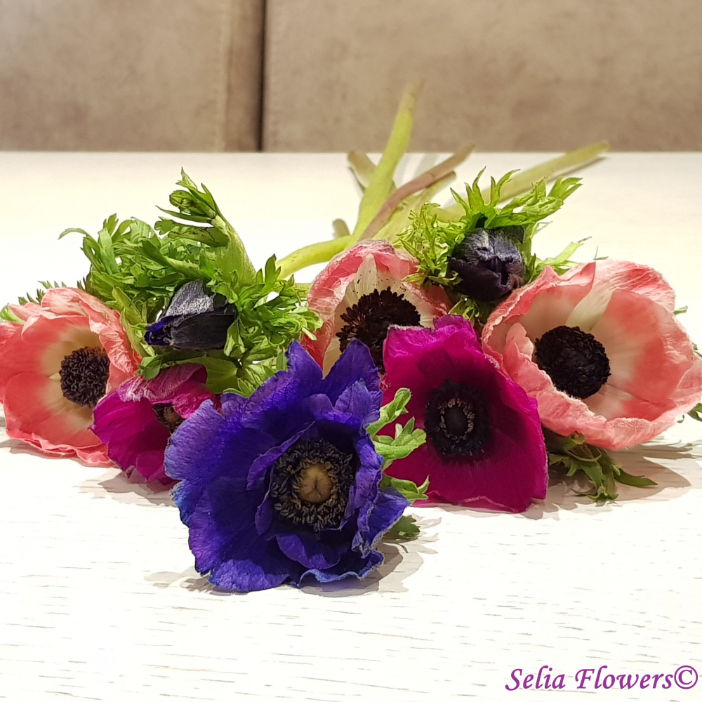 Anemonele in buchetele de mireasa