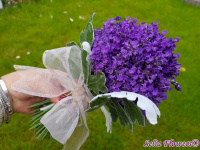 20190611_202008_2041982561