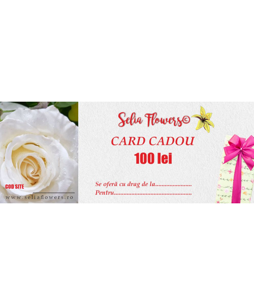 card_100lei_414396938