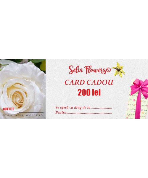 card_200lei