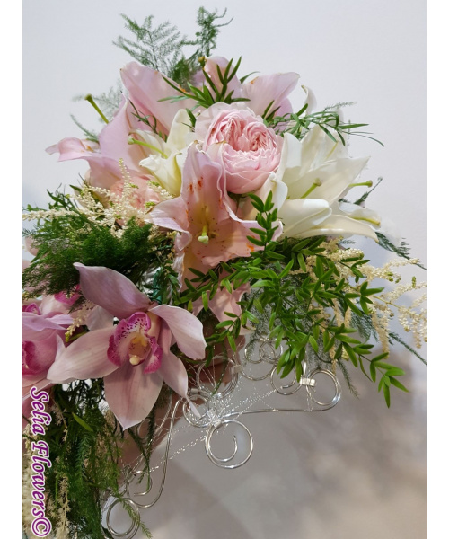 h_409041892