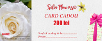 card_200lei